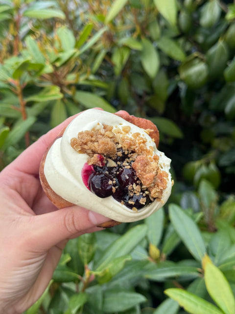 Mini Blueberry Crumble