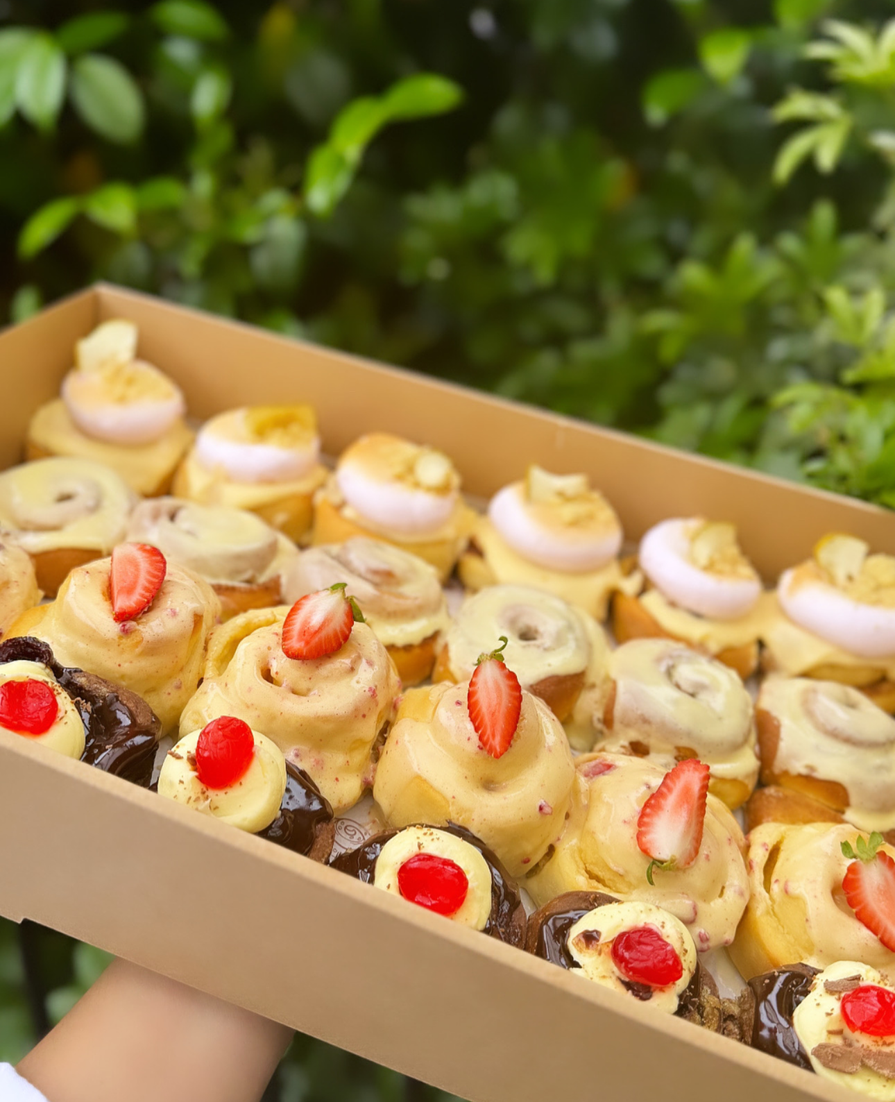 Box of 24: Mini – Scroll Station