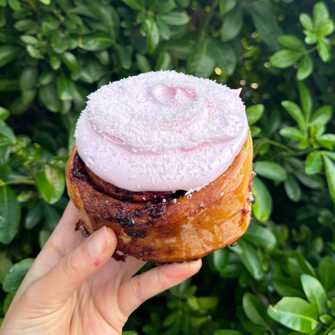 Raspberry Lamington