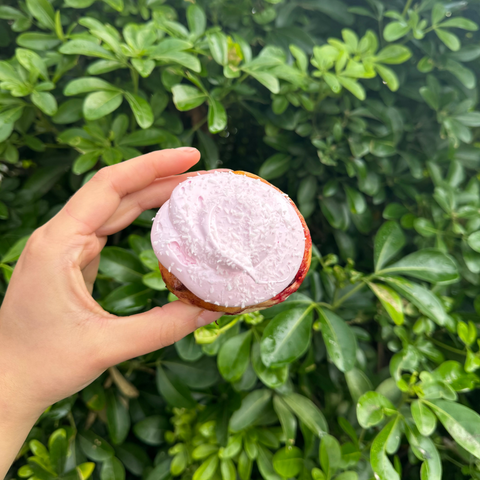 Mini Raspberry Lamington