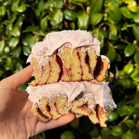 Raspberry Lamington